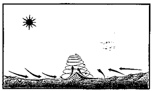 FIgure 2.6: FIRE WHIRLWINDS