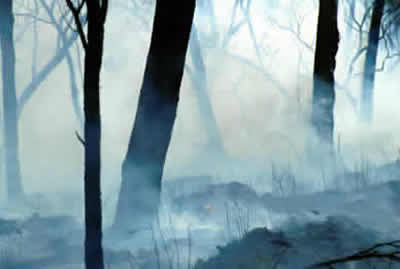 Ground smoke from a savanna fire 